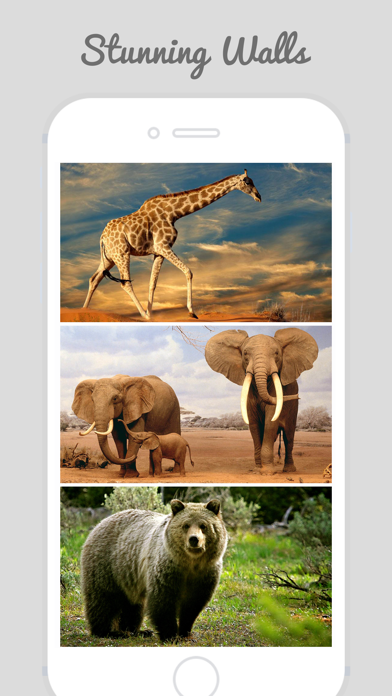 How to cancel & delete HD Wild Animal Wallpapers from iphone & ipad 1