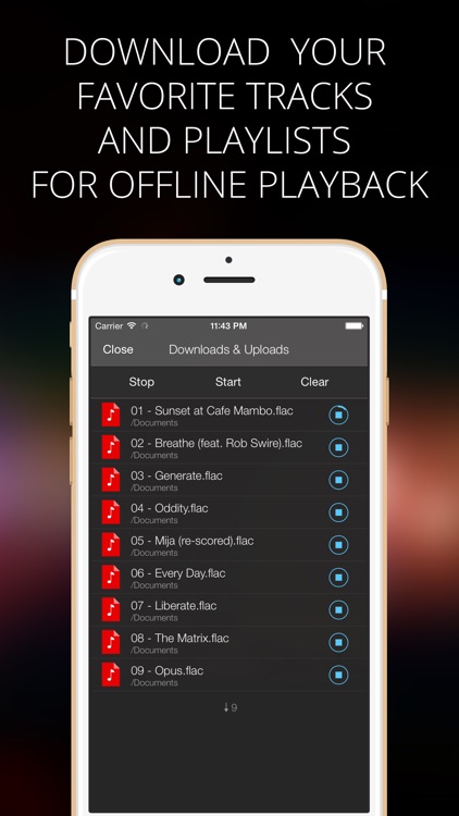 Flacbox - FLAC, MP3 player