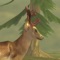 Deer Hunt 2017 - Deer hunting games for free