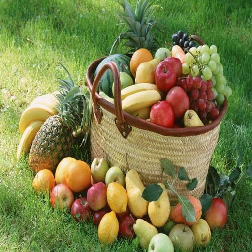 Fruits Guide by Pina Colada