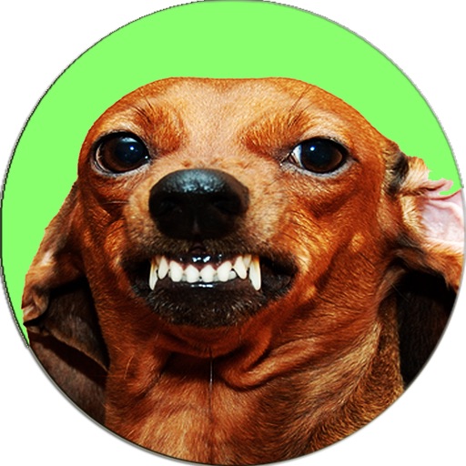 Scare Dogs Simulator Joke icon