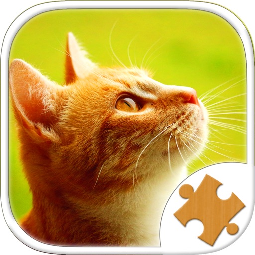 Cats Jigsaw Puzzles Daily Play For Girls & Adults