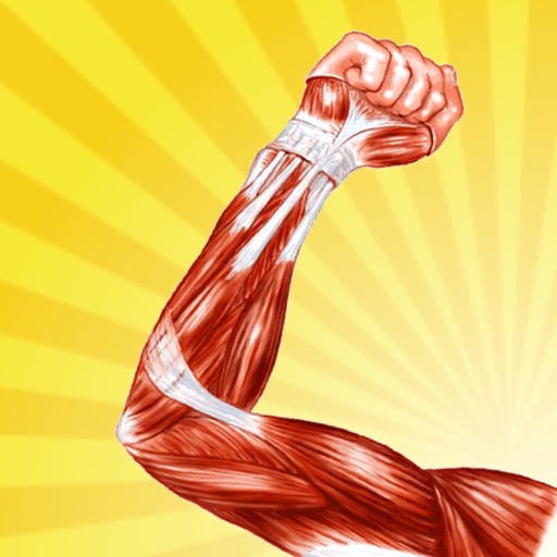 Human Muscle Encyclopedia Plus+ icon