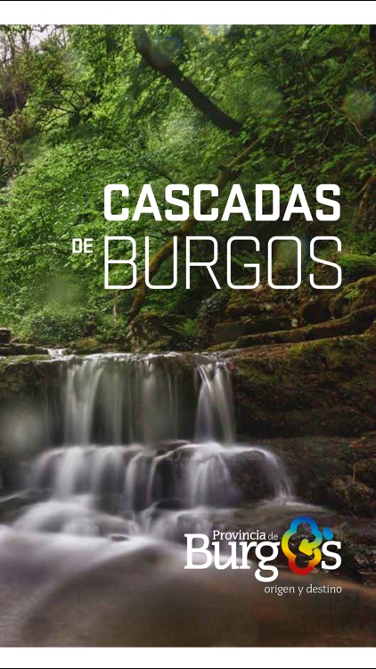 Diputación de Burgos screenshot-4