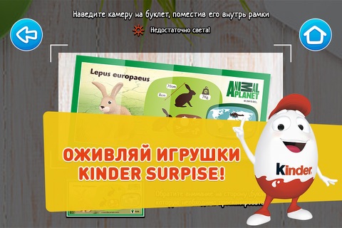 Kinder "Любимые животные" screenshot 2