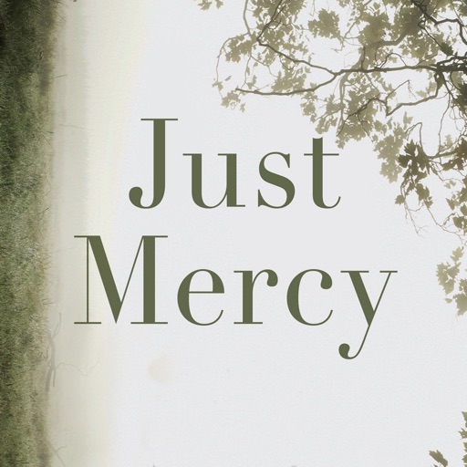 Practical Guide - Just Mercy- A Story of Justice