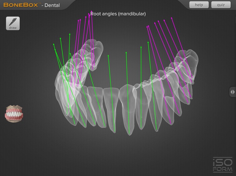 BoneBox™ - Dental Pro screenshot-3