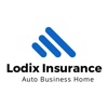 Lodix Insurance