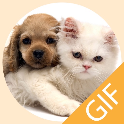 Pet Stickers - Cats & Dogs Animated Gif Stickers