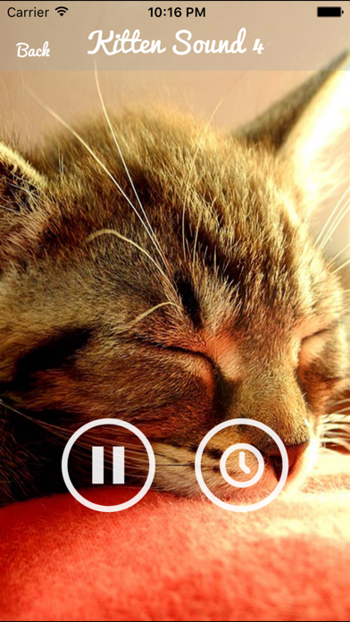 How to cancel & delete Kitten Sounds – Cat Meow Sound from iphone & ipad 3