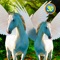 *** This an ad-free premium version of Pegasus Family Simmulator***