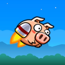 Activities of Flap Pig Flying