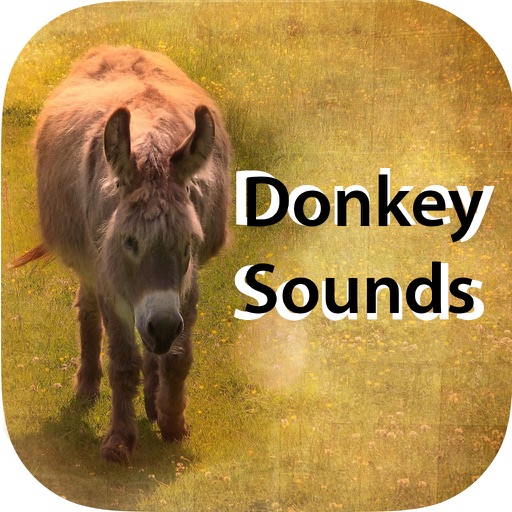 Donkey Sounds - Funny Sounds iOS App