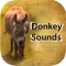 If you are looking for donkey sounds then this donkey Sounds applications is right choice for you