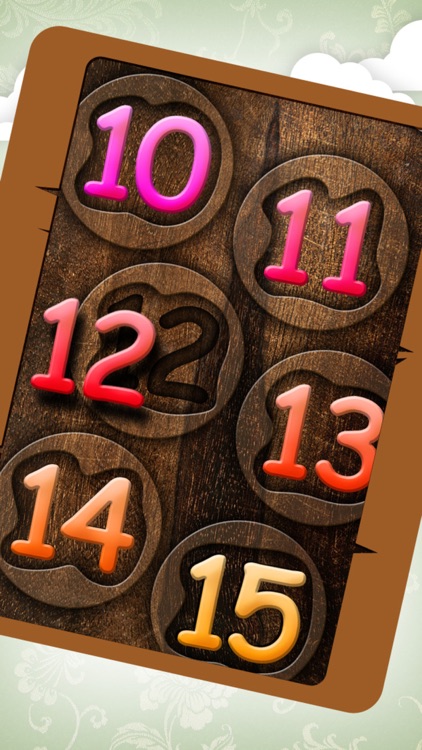 Educational Wooden Puzzle Collection