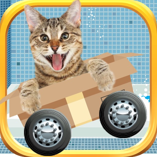 Tiny Kitty in Box-Bath Rescue! iOS App