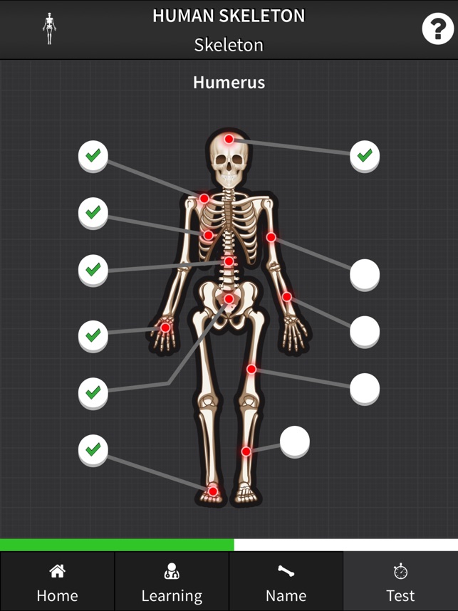 App Store 上的 Human Skeleton Bones For Beginners