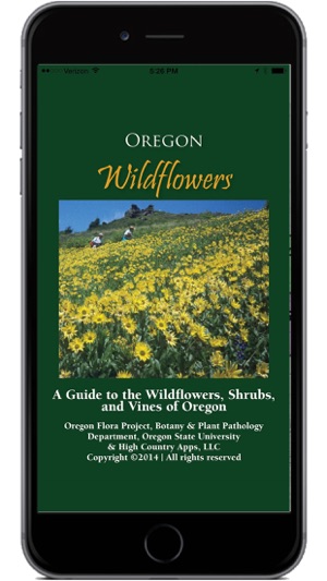 Oregon Wildflowers