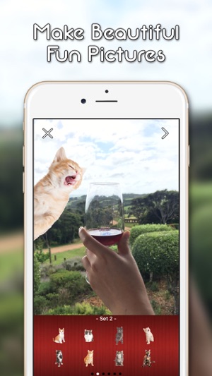 KittyGram - Cutest Cats Photo Decorator(圖2)-速報App