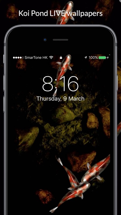 Koi Pond Live Wallpapers screenshot-0