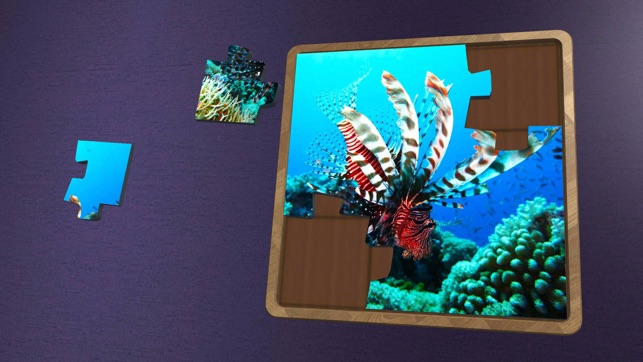 Super Jigsaws Marine Life(圖1)-速報App