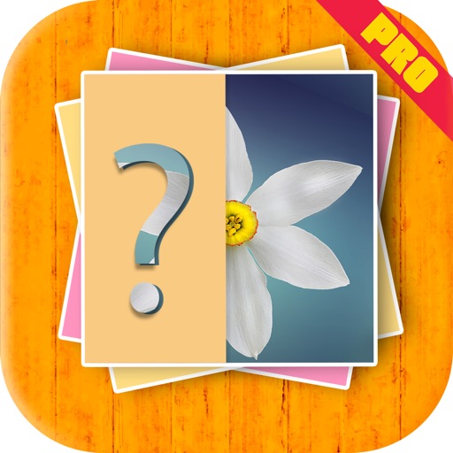 Flower Quiz Kids Game Pro