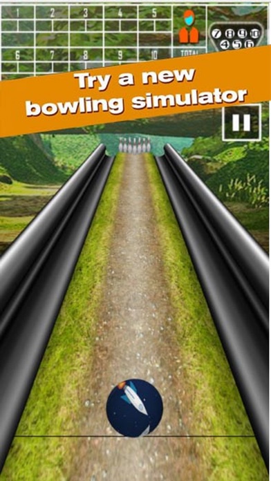 Pin Bowling Game screenshot 2