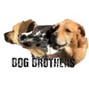 Bog Brothers Sticker Pack