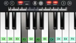 Game screenshot Pianist hack