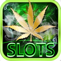 Dream of Weed Slot Machines app funktioniert nicht? Probleme und Störung