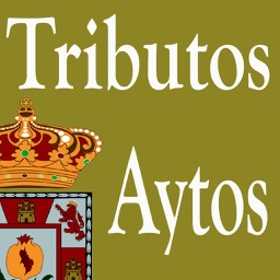 Servicio Prov Tributario-Ayto