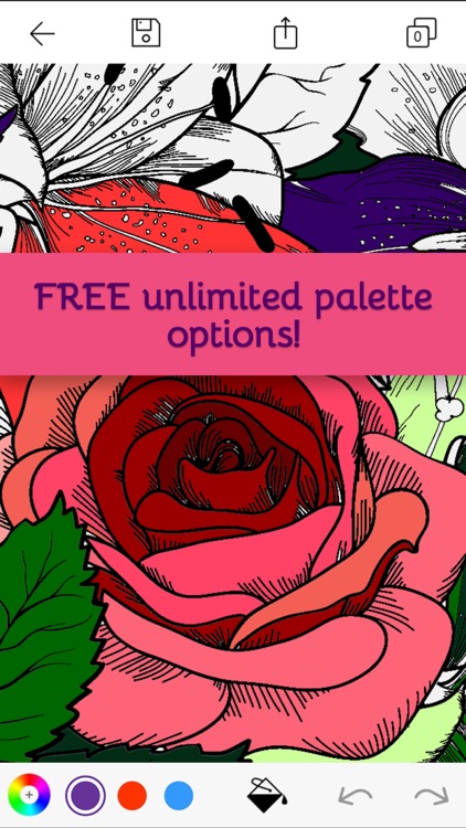 Calmeleon: Coloring Book for Adults