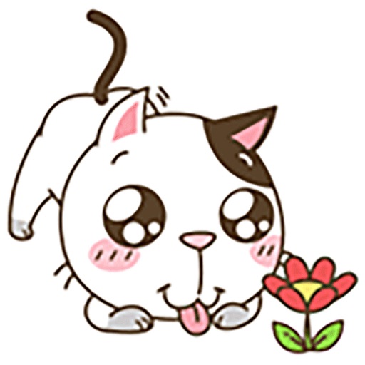 Little Meow