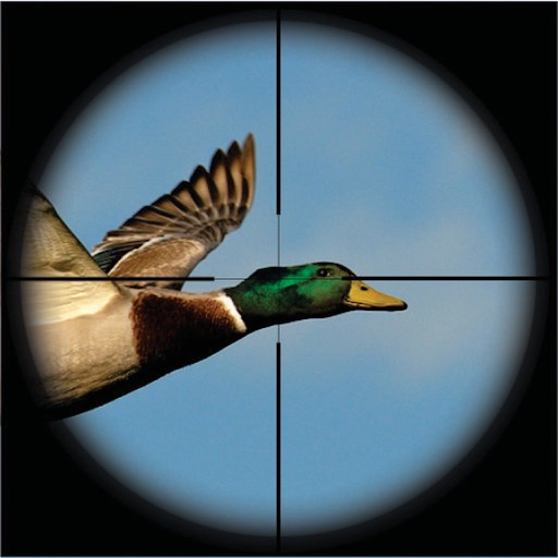 Duck Hunter Adventure Shooting 3D Pro iOS App