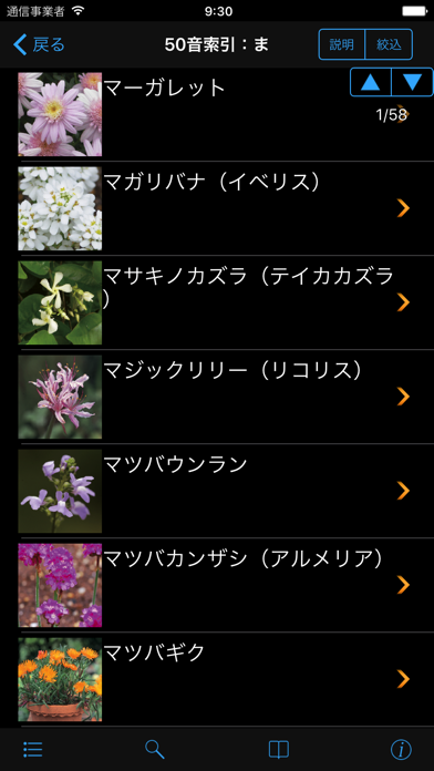 散歩で見かける四季の花 screenshot1