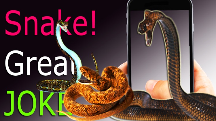 Snake On Screen Cobra Simulator