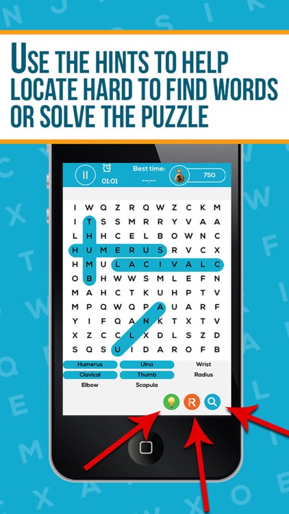 Anatomy Word Search Pro