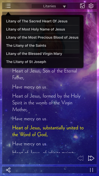 Holy Rosary Audio Del... screenshot1