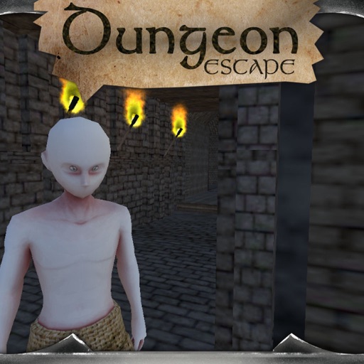 Dungeon Escape - 3D Labyrinth Maze iOS App