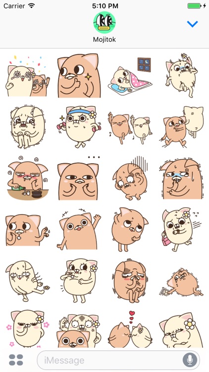 Afternoon chiwawa Stickers