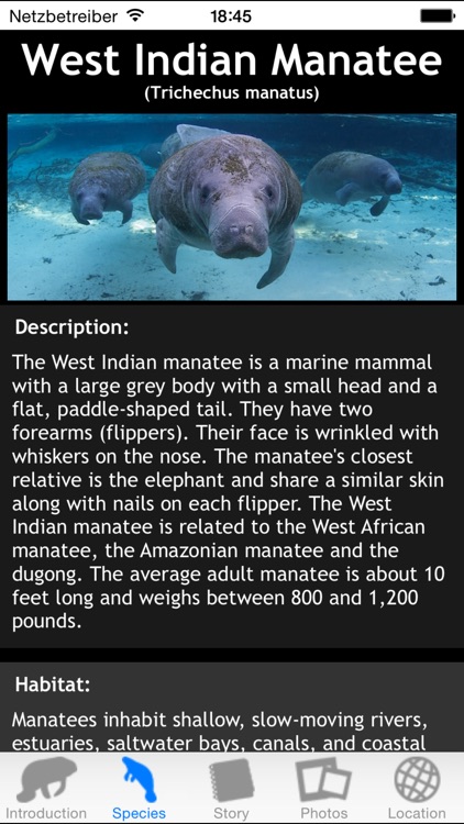 Manatees