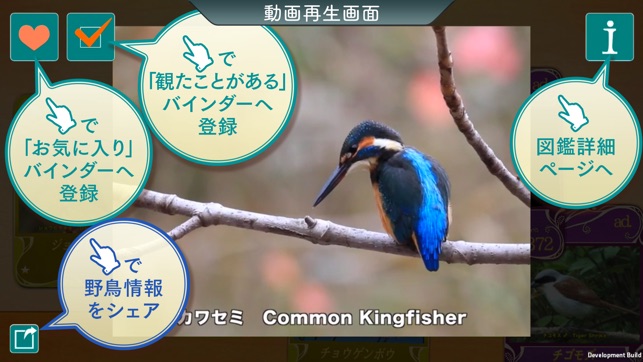 Gps動く野鳥図鑑mini をapp Storeで