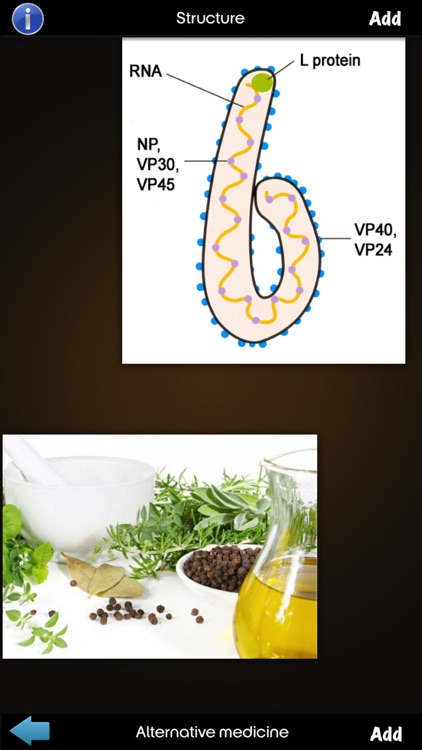 Ebola Disease Guide !