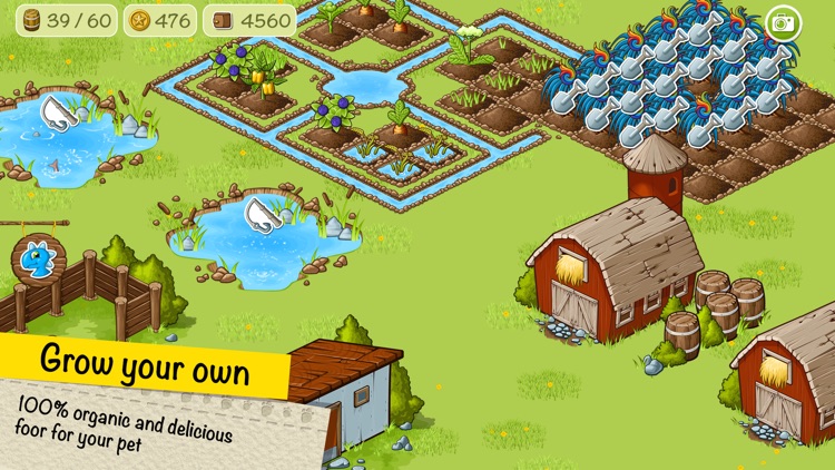 Virtual Pet Dinosaur Dino & His Farm screenshot-3
