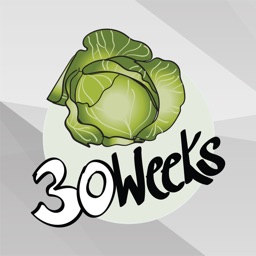 How Big Is Your Baby? Pregnancy By Week Stickers