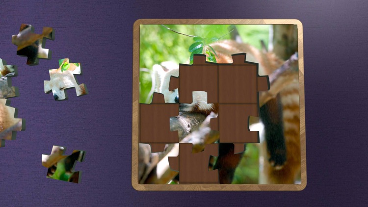 Super Jigsaws Wildlife screenshot-4