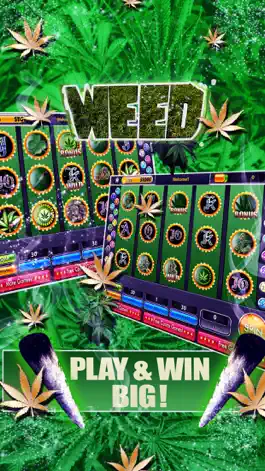Game screenshot Dream of Weed Slot Machines – Free Slots & Casino mod apk