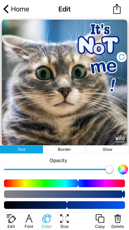 WildEmotions: add text to photos with animal cards screenshot-3