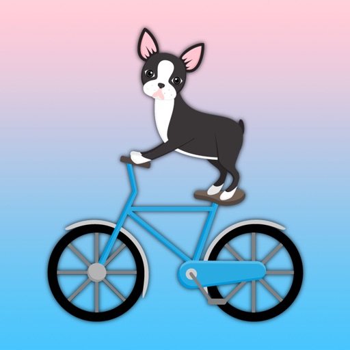 Boston Terrier Flip Tricks Challenge iOS App