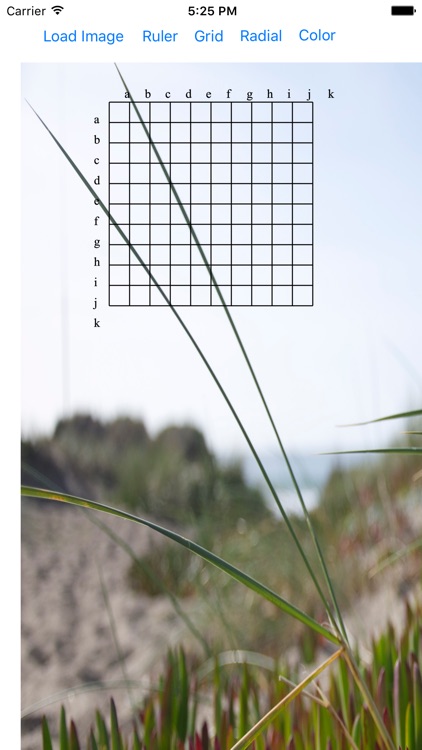 Transparent Ruler